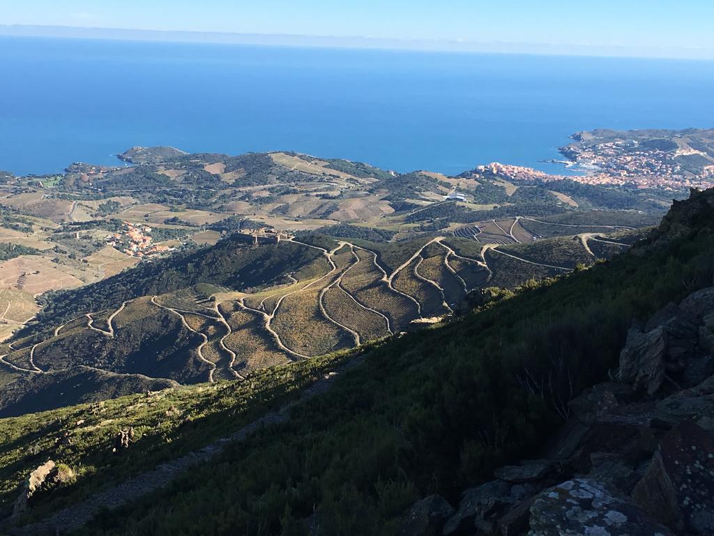 Un Balcon Sur La Mer Port Vendres Kültér fotó